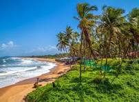 Goa Package For 5PAX